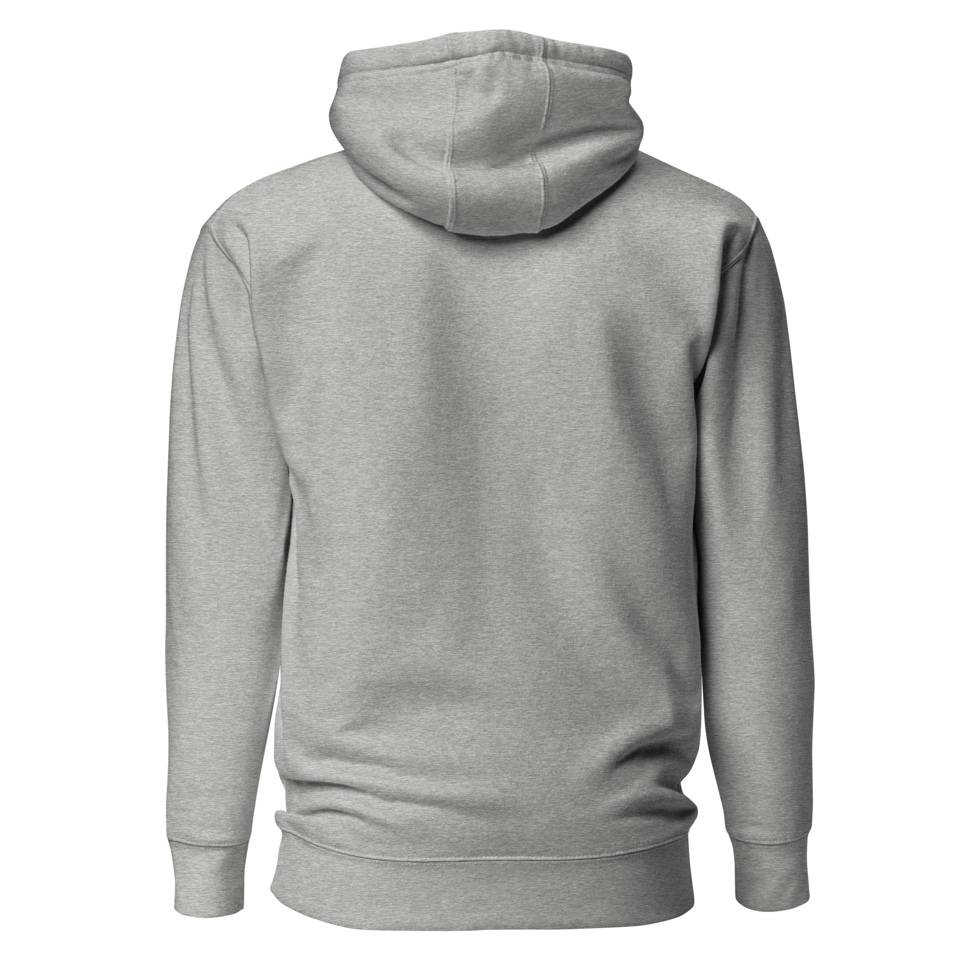 unisex-premium-hoodie-carbon-grey-back-6634e684b1748.jpg