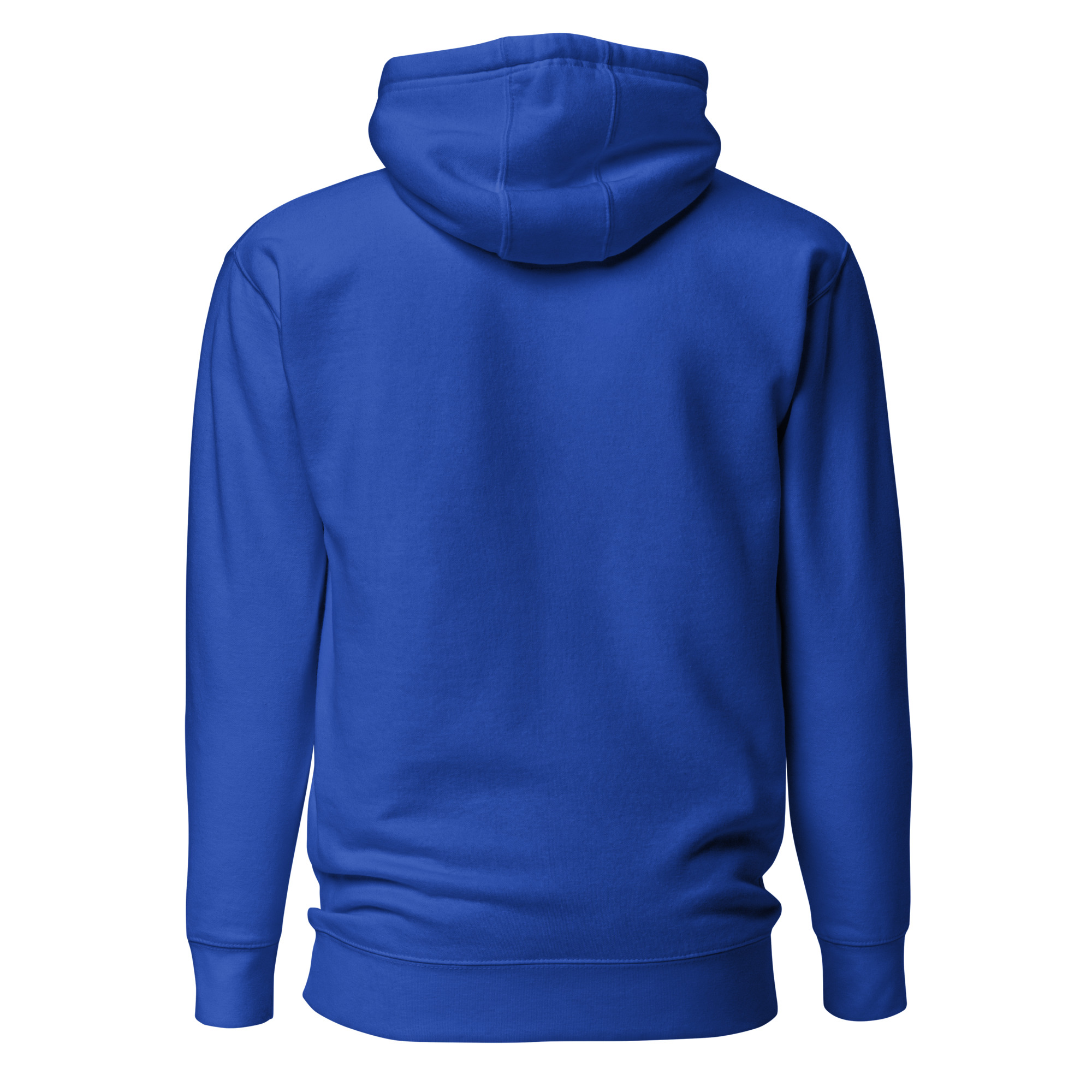 unisex-premium-hoodie-team-royal-back-6634e866dded8.jpg